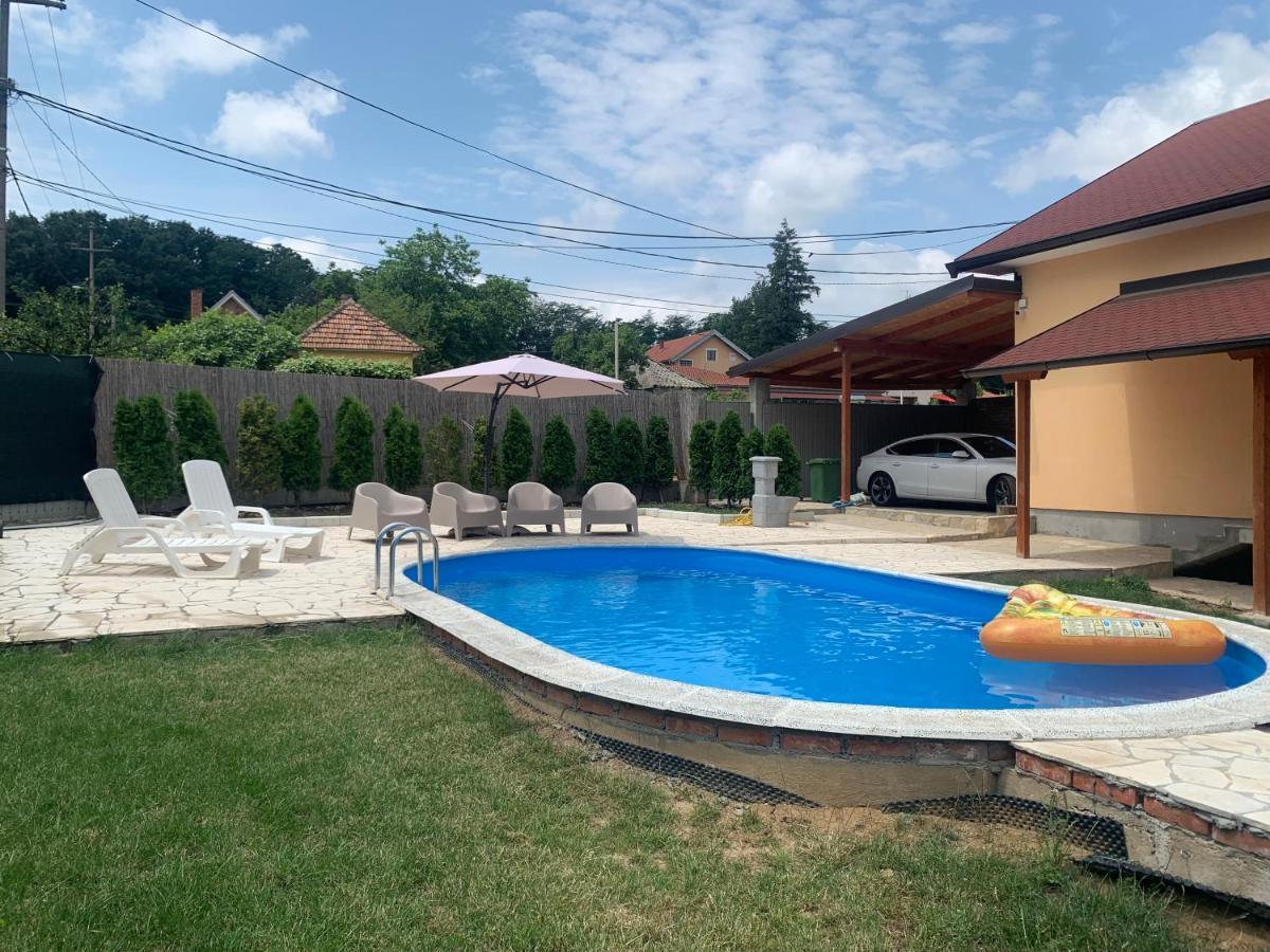 Vila Mika'S Poolhouse Bělehrad Exteriér fotografie
